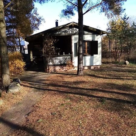 Kamiennikove Villa Kamienniki Eksteriør bilde
