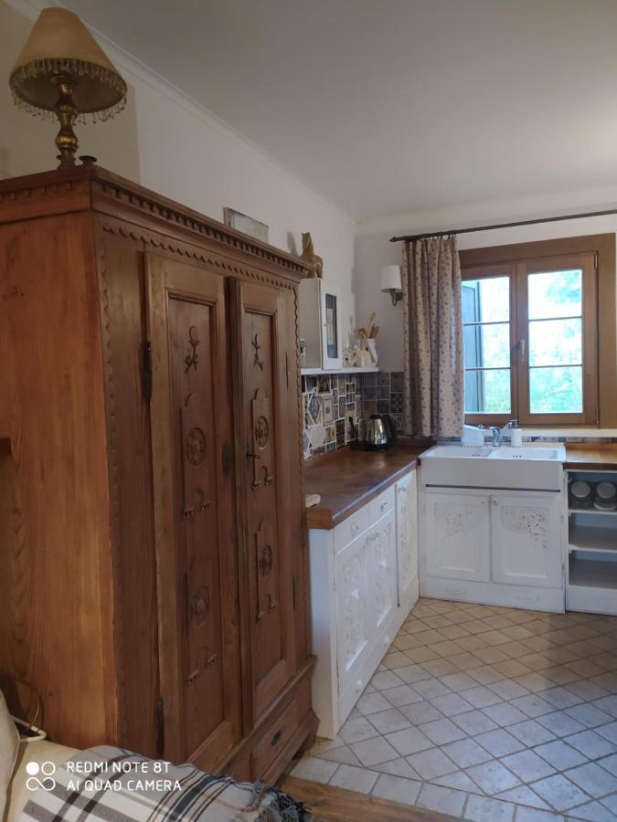 Kamiennikove Villa Kamienniki Eksteriør bilde