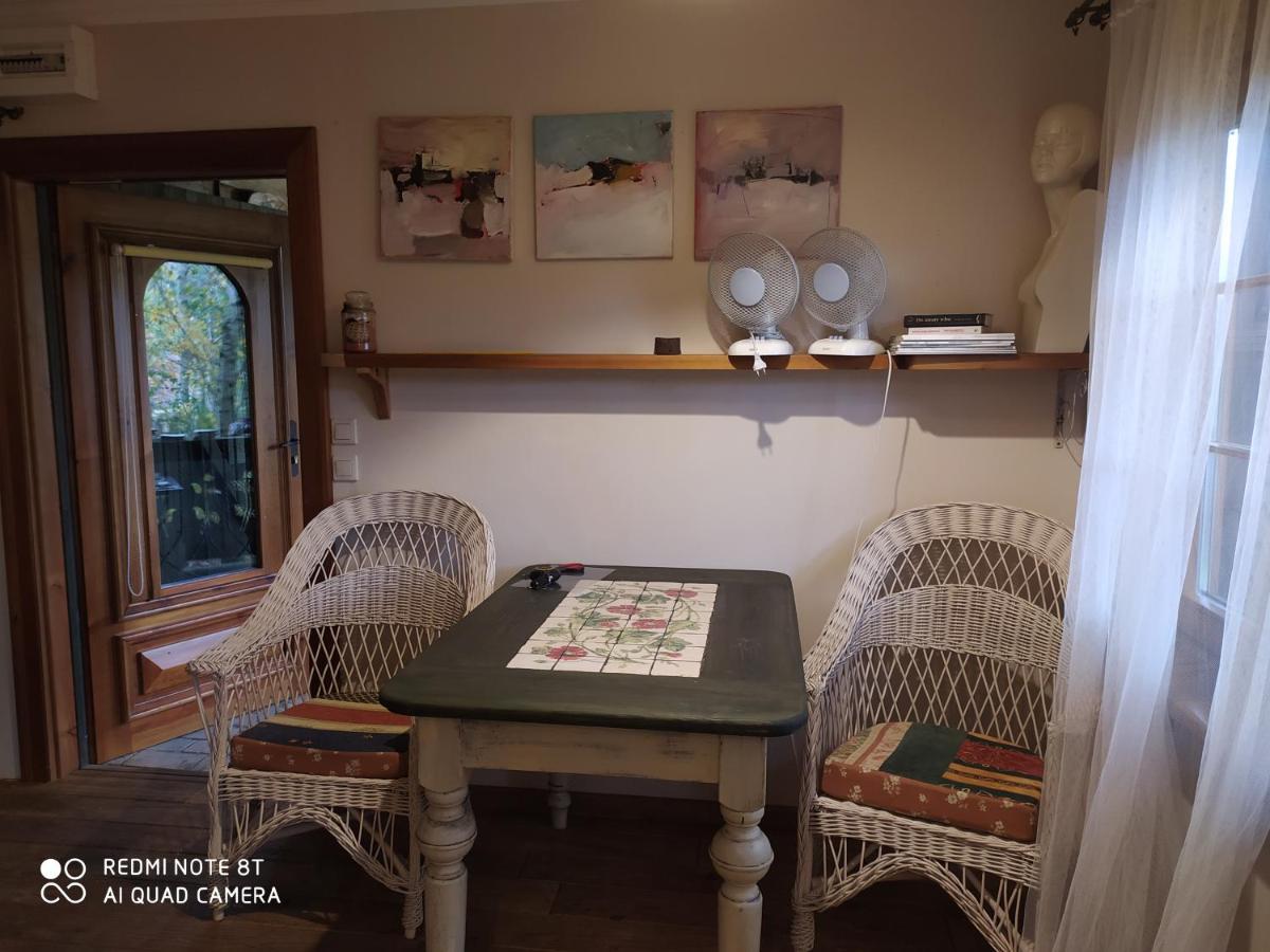 Kamiennikove Villa Kamienniki Eksteriør bilde